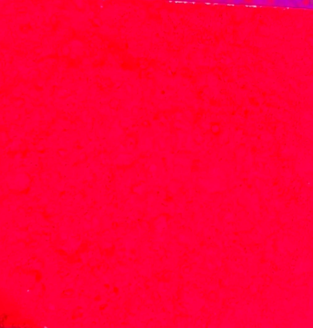 Rio